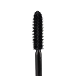 All Eye Want Waterproof Mascara
